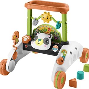 Fisher-Price Baby & Toddler Toy 2-Sided Steady Speed Panda Walker With Smart Stages Learning & Blocks For Ages 6+ Months