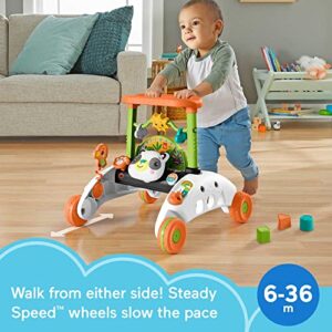 Fisher-Price Baby & Toddler Toy 2-Sided Steady Speed Panda Walker With Smart Stages Learning & Blocks For Ages 6+ Months