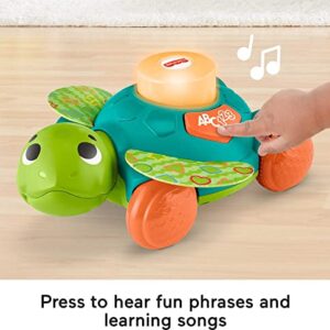 Fisher-Price Linkimals Baby & Toddler Toy Sit-To-Crawl Sea Turtle With Interactive Lights Music And Rolling Motion For Ages 9+ Months