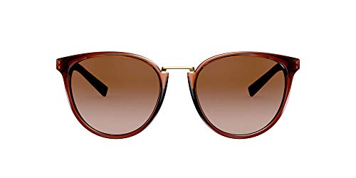 Versace Woman Sunglasses, Tortoise Lenses Injected Frame, 54mm