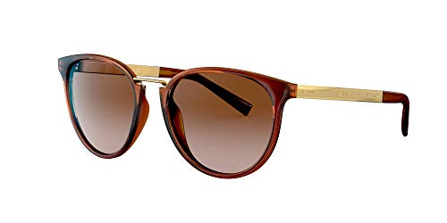 Versace Woman Sunglasses, Tortoise Lenses Injected Frame, 54mm