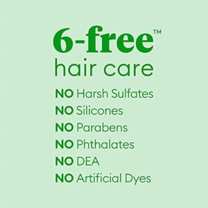 Briogeo Superfoods Apple, Matcha, Kale Replenishing Shampoo and Conditioner Duo | Replenish Dull, Dry Hair and Supports Healthy Hair and Scalp | Vegan, Phalate & Paraben-Free