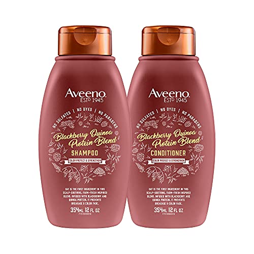 Aveeno Color Protect & Strengthen+ Blackberry & Quinoa Conditioner (12 Fl Oz) with Aveeno Color Protect Strengthen+ Blackberry Quinoa Shampoo, Fresh, 12 Fl Oz