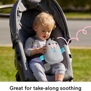 Fisher Price Infant Sound Machine Chill Vibes Walrus Soother Plush Baby Toy with Music Vibrations & Customizable Settings