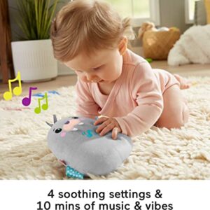 Fisher Price Infant Sound Machine Chill Vibes Walrus Soother Plush Baby Toy with Music Vibrations & Customizable Settings