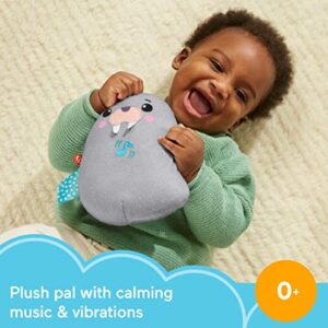 Fisher Price Infant Sound Machine Chill Vibes Walrus Soother Plush Baby Toy with Music Vibrations & Customizable Settings