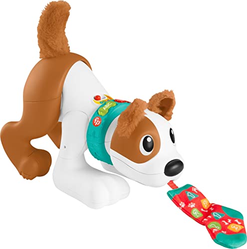 Fisher-Price Baby Learning Toy 123 Crawl With Me Puppy Electronic Dog With Smart Stages Content & Lights For Ages 6+ Months