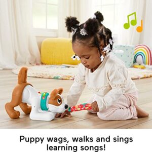 Fisher-Price Baby Learning Toy 123 Crawl With Me Puppy Electronic Dog With Smart Stages Content & Lights For Ages 6+ Months