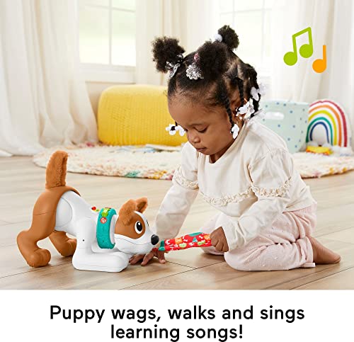 Fisher-Price Baby Learning Toy 123 Crawl With Me Puppy Electronic Dog With Smart Stages Content & Lights For Ages 6+ Months