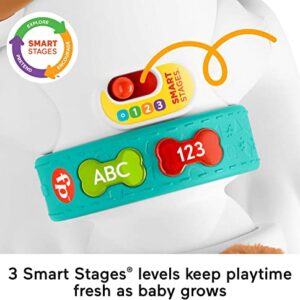 Fisher-Price Baby Learning Toy 123 Crawl With Me Puppy Electronic Dog With Smart Stages Content & Lights For Ages 6+ Months