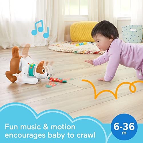 Fisher-Price Baby Learning Toy 123 Crawl With Me Puppy Electronic Dog With Smart Stages Content & Lights For Ages 6+ Months