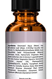 DOUBLE SIZED (2 oz) PURE VITAMIN C SERUM FOR FACE With Hyaluronic Acid - Anti Wrinkle, Anti Aging, Dark Circles, Age Spots, Vitamin C, Pore Cleanser, Acne Scars, Organic Vegan Ingredients