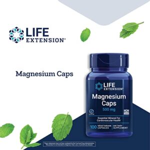 Life Extension Magnesium Caps 500 mg – Essential Mineral Blend For Cardiovascular & Whole-Body Health – Gluten-Free, Non-GMO, Vegetarian -100 Vegetarian Capsules