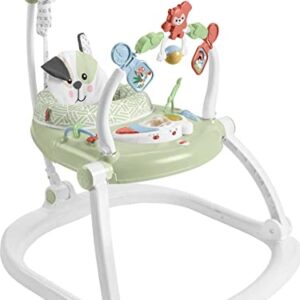 Fisher-Price Baby Bouncer Spacesaver Jumperoo Activity Center With Lights Sounds And Folding Frame, Puppy Perfection