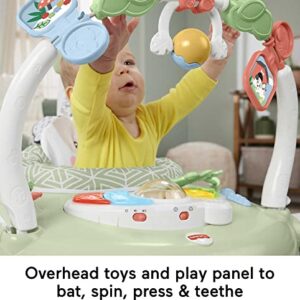 Fisher-Price Baby Bouncer Spacesaver Jumperoo Activity Center With Lights Sounds And Folding Frame, Puppy Perfection