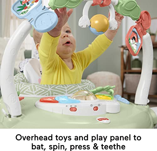 Fisher-Price Baby Bouncer Spacesaver Jumperoo Activity Center With Lights Sounds And Folding Frame, Puppy Perfection