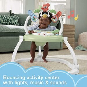 Fisher-Price Baby Bouncer Spacesaver Jumperoo Activity Center With Lights Sounds And Folding Frame, Puppy Perfection