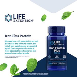 Life Extension Iron Protein Plus – Highly Absorbable Form of Irons Supplement for Red Blood Cell & Protein Production – Once Daily - Gluten-Free, Non-GMO, Vegetarian – 100 Capsules