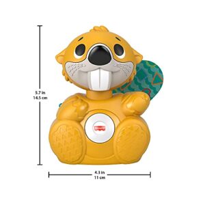 Fisher-Price Linkimals Boppin’ Beaver - UK English Edition, Light-up Musical Activity Toy for Baby, GXD79