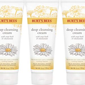 Face Wash,Burt's Bees Deep Facial Cleansing Cream, All Natural Cleanser with Chamomile, 6 Ounce (Pack of 3) (Packaging May Vary)