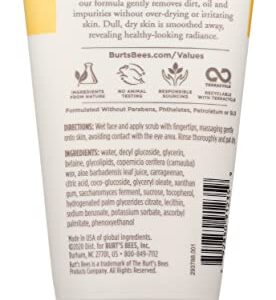 Burts Bees Sensitive Gentle Facial Scrub, 4 FZ