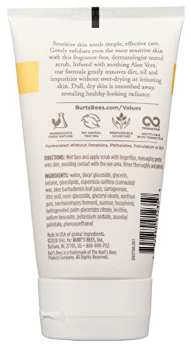 Burts Bees Sensitive Gentle Facial Scrub, 4 FZ