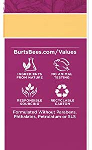 Burt's Bees Renewal Dark Spot Corrector with Bakuchiol Natural Retinol Alternative, 1 Oz (Package May Vary)