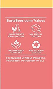 Face Oil, Burt's Bees Hydrating & Anti-Aging Facial Care, 0.05 fl oz Ounce (Packaging May Vary)