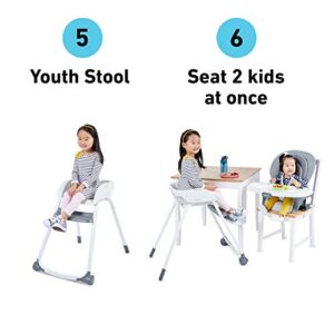 Graco Made2Grow 6 in 1 High Chair | Converts to Dining Booster Seat, Youth Stool, and More, Monty