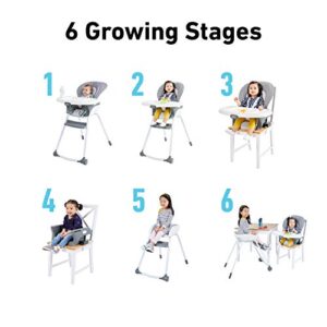 Graco Made2Grow 6 in 1 High Chair | Converts to Dining Booster Seat, Youth Stool, and More, Monty