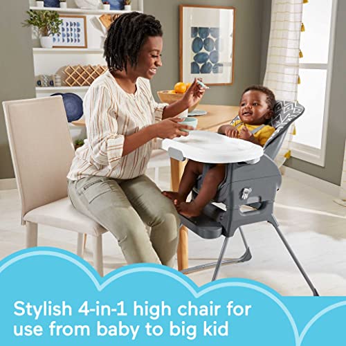 Fisher-Price Baby to Toddler Deluxe High Chair and Portable Booster Seat with Tray Liner Plus Washable Seat Pad and Tray, Gray Tribal
