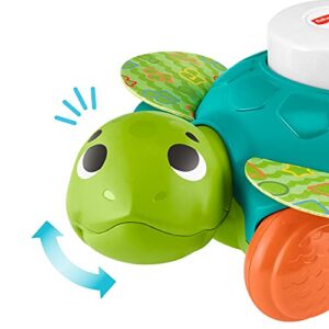 Fisher-Price Linkimals Sit-to-Crawl Sea Turtle - UK English Edition, Light-up Musical Crawling Toy for Baby