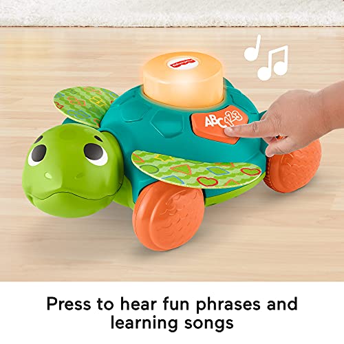 Fisher-Price Linkimals Sit-to-Crawl Sea Turtle - UK English Edition, Light-up Musical Crawling Toy for Baby