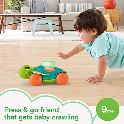 Fisher-Price Linkimals Sit-to-Crawl Sea Turtle - UK English Edition, Light-up Musical Crawling Toy for Baby