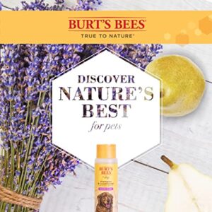 Burt's Bees for Dogs Lavender Pear Shampoo & Conditioner | 2-in-1 Dog Shampoo and Conditioner with 98.2% Natural Origin Ingredients | Lavender Pear Dog Shampoo & Conditioner Soothes and Softens Dogs