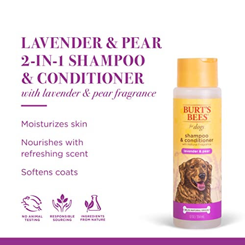 Burt's Bees for Dogs Lavender Pear Shampoo & Conditioner | 2-in-1 Dog Shampoo and Conditioner with 98.2% Natural Origin Ingredients | Lavender Pear Dog Shampoo & Conditioner Soothes and Softens Dogs