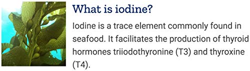 Life Extension Sea Iodine 1000 mcg, 150 Veg Caps (Pack of 2) - Natural Iodine Supplement from Kelp and Bladderwack