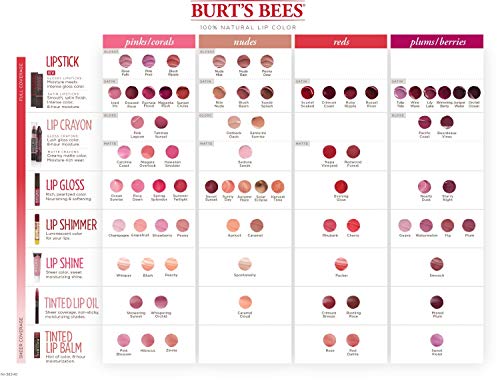 Burts Bees 100 % Natural Moisturizing Tinted Lip Oil, Crimson Breeze - 1 Pen