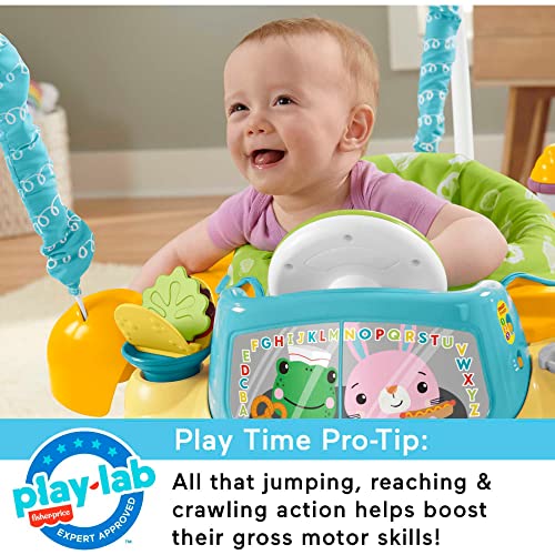 Fisher-Price Baby To Toddler Learning Toy 2-In-1 Servin’ Up Fun Jumperoo Activity Center With Music Lights And Shape Sorting Puzzle Play