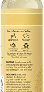 Burts Bees Rosemary & Lemon Body Wash, 12 Oz - Pack of 3 (Package May Vary)