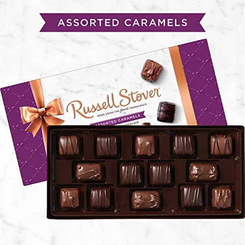 Russell Stover, Assorted Caramels in Milk and Dark Chocolate, Chocolate Gift Box, 9 Ounce