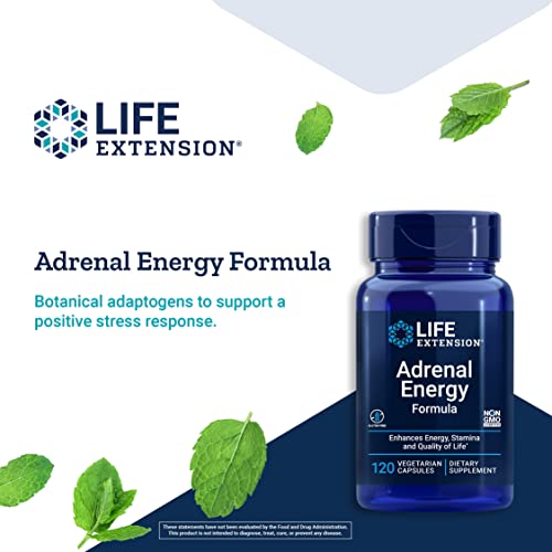 Life Extension Adrenal Energy Formula Supports Energy, Focus & Broad Spectrum Healthy Stress Response with Holy Basil, Cordyceps, Bacopa & Ashwagandha- Non-GMO, Gluten Free - 120 Vegetarian Capsules