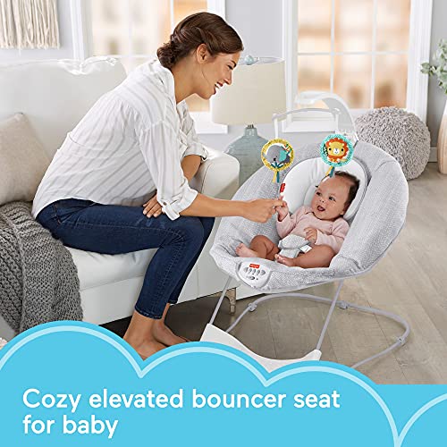 Fisher-Price See & Soothe Deluxe Bouncer - Hearthstone, soothing baby seat for infants and newborns [Amazon Exclusive]