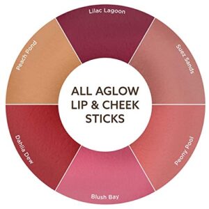 BURTS BEES Peach Pond All Aglow Lip & Cheek Stick, 0.32 OZ