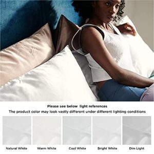 Bedsure Satin Pillowcase for Hair and Skin Queen - Pure White Silk Pillowcase 2 Pack 20x30 inches - Satin Pillow Cases Set of 2 with Envelope Closure, Gifts for Women Men