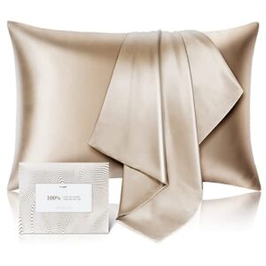 100% pure mulberry silk pillowcase for hair and skin – allergen resistant dual sides,600 thread count silk bed pillow cases with hidden zipper,1pc,standard size,taupe