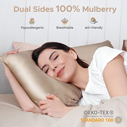 100% Pure Mulberry Silk Pillowcase for Hair and Skin - Allergen Resistant Dual Sides,600 Thread Count Silk Bed Pillow Cases with Hidden Zipper,1pc,Standard Size,Taupe