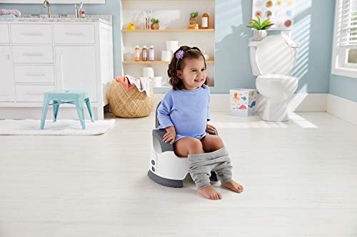 Fisher Price Custom Comfort Potty