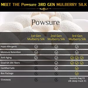 Powsure 100% Mulberry Silk Pillowcase for Hair and Skin - Standard 20"x26" - Silver Grey Zippered 22 Momme Pure Silk Pillow Cases Soft Pillow Covers (Pack of Pillowcase - Eye Mask)