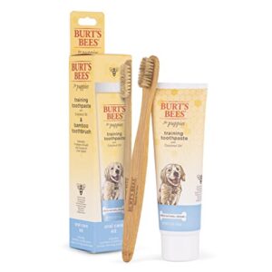 burt’s bees natural oral care kit for puppies, flavorless, 2.5 oz tube and bamboo brush| puppy training toothbrush and toothpaste with coconut oil (2.5 oz)